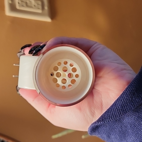 BBW Wallflower Plug - Picture 3 of 5